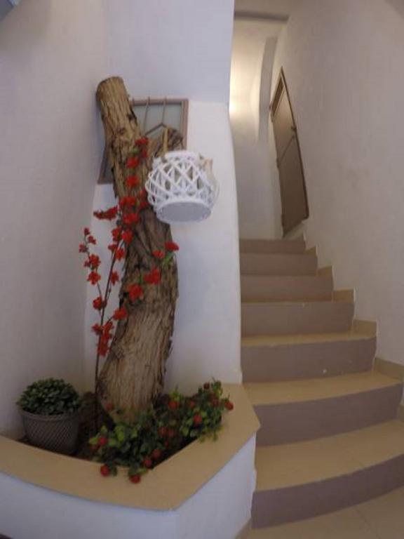 Della Rotonda Apartment